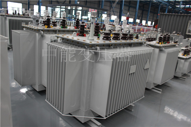 会东2500KVA/10KV油浸式变压器